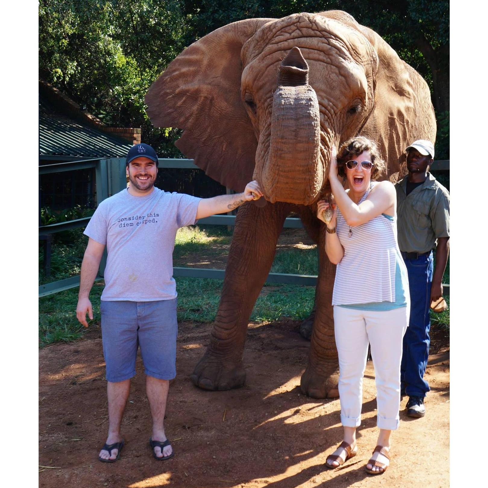 Hoping not to get trampled. South Africa 2015.