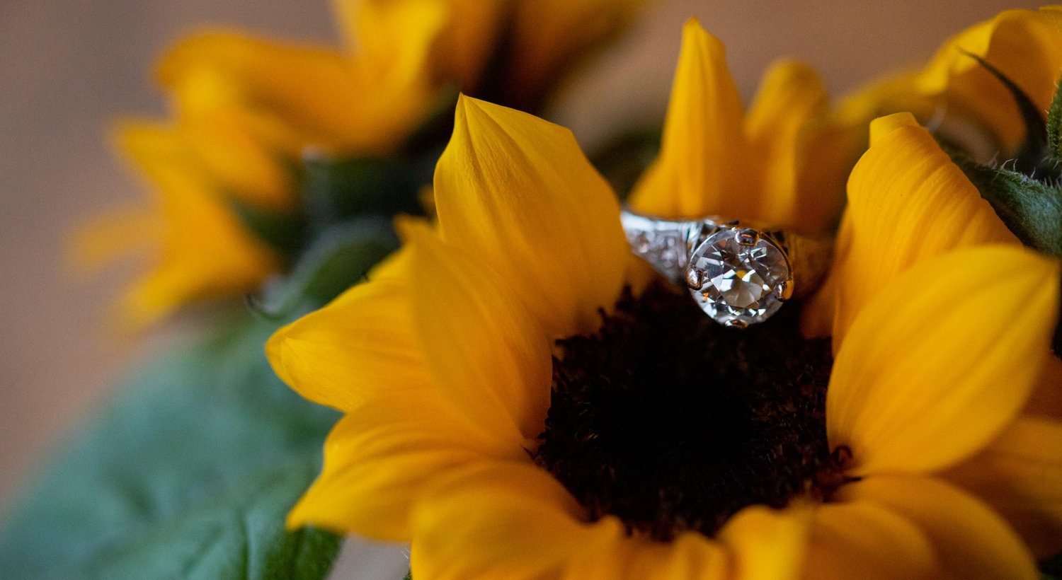 The Wedding Website of Rhonda Greenway and Donald Paul