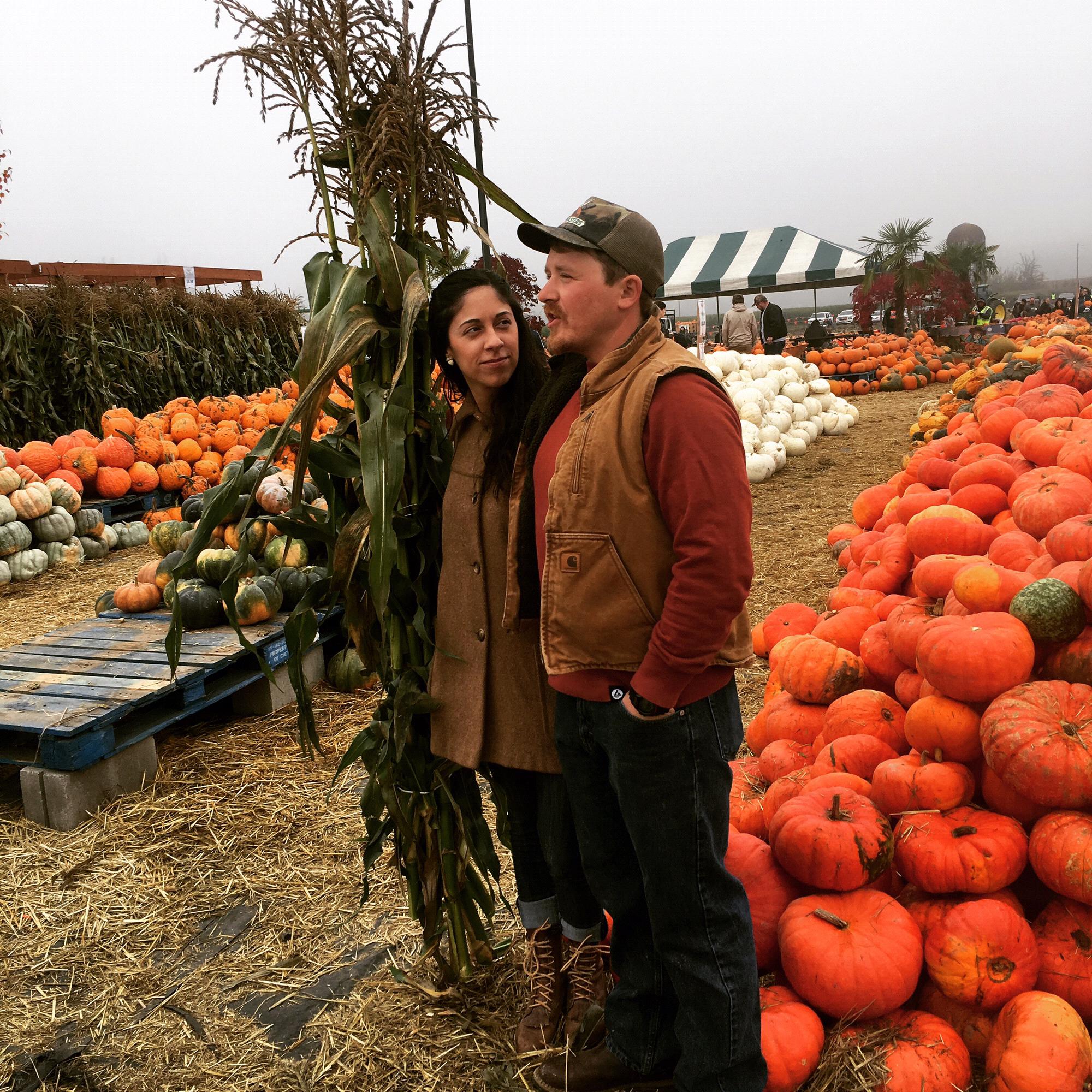 Punkin patch 2018