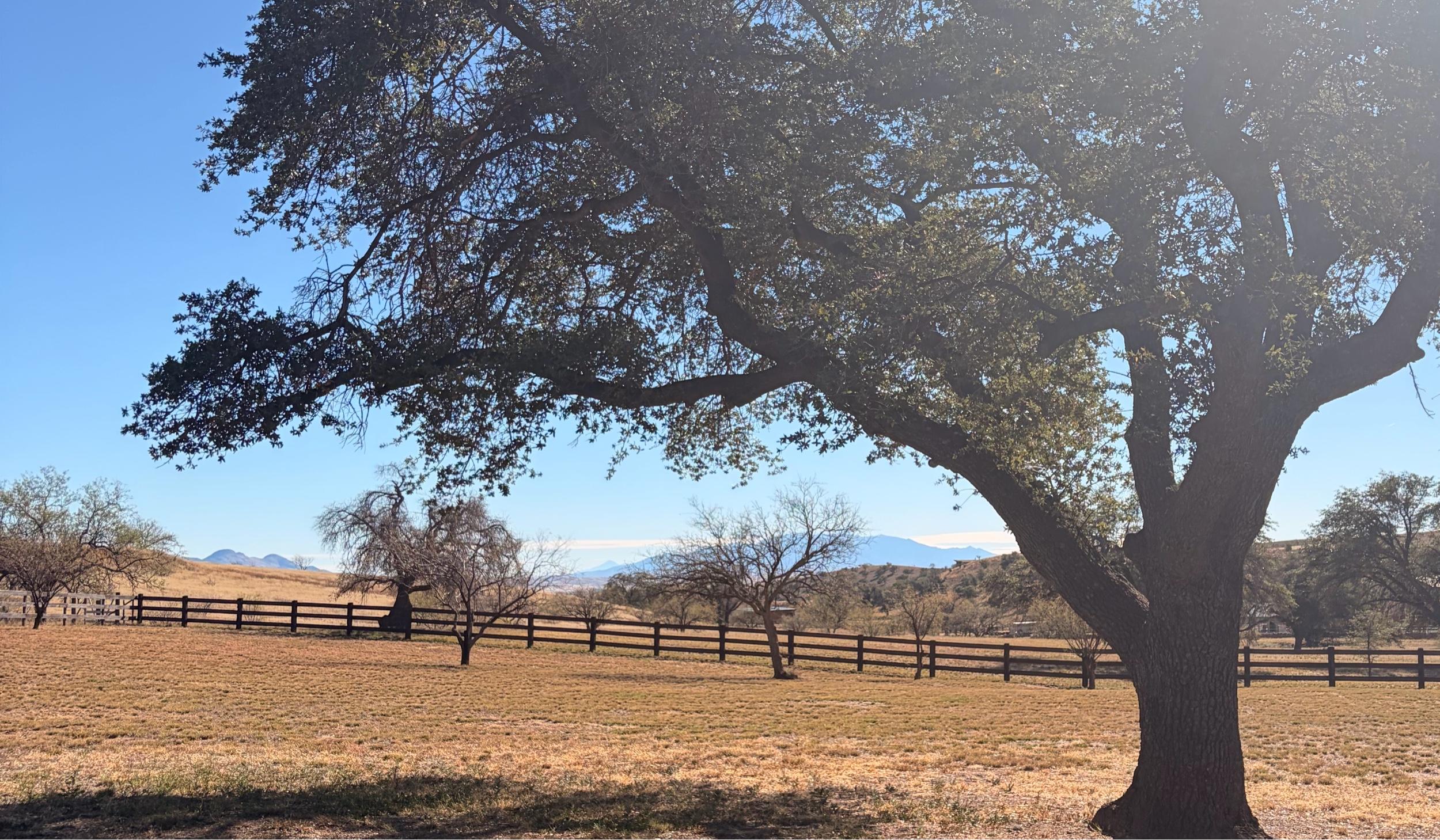 The Wedding Website of Jaimie Hosler and Hunter Berry