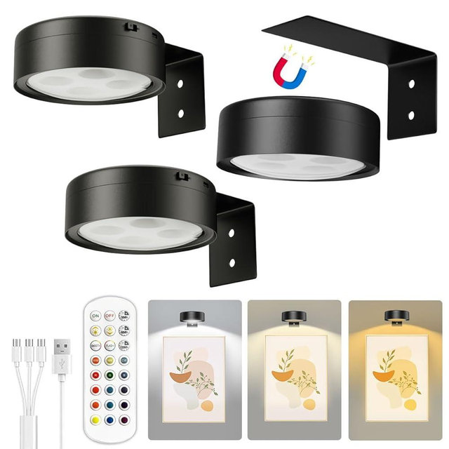 Xuolder Picture Lights for Wall,2000mAh Rechargeable Battery Poster Lights LED Magnetic Painting Light with Remote Control,3 Color Temps&12 RGB Timer Dimmable Wall Light for Art Display Wall Decor