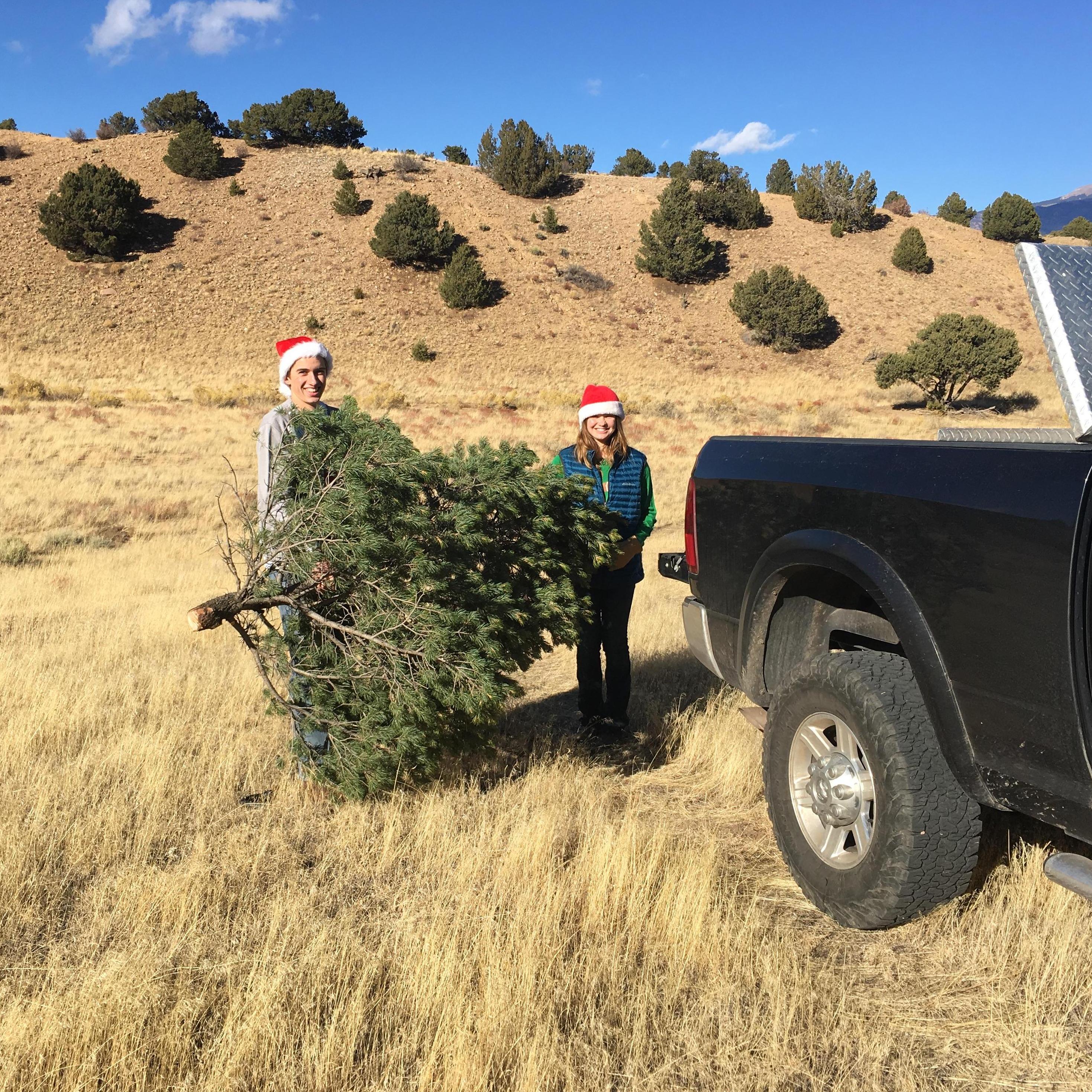 Christmastime at the Ranch, the year we found Toast.