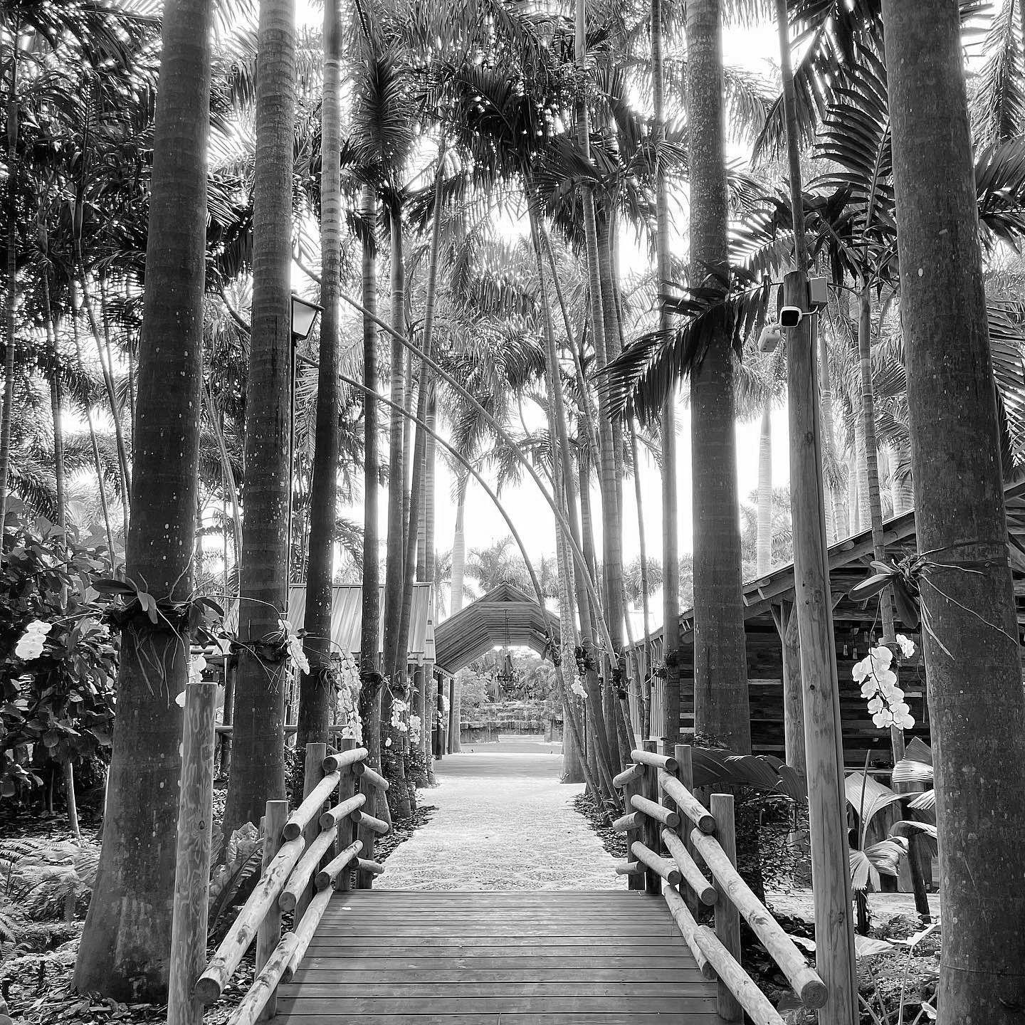 The Wedding Website of Sara Nguyen and Cody Hulton