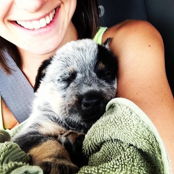 Baby Kiwi