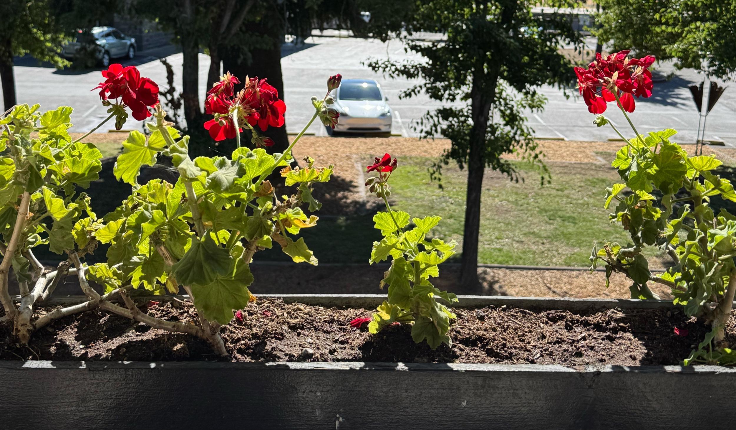 The Wedding Website of Serena Hettiger and Sean Fite