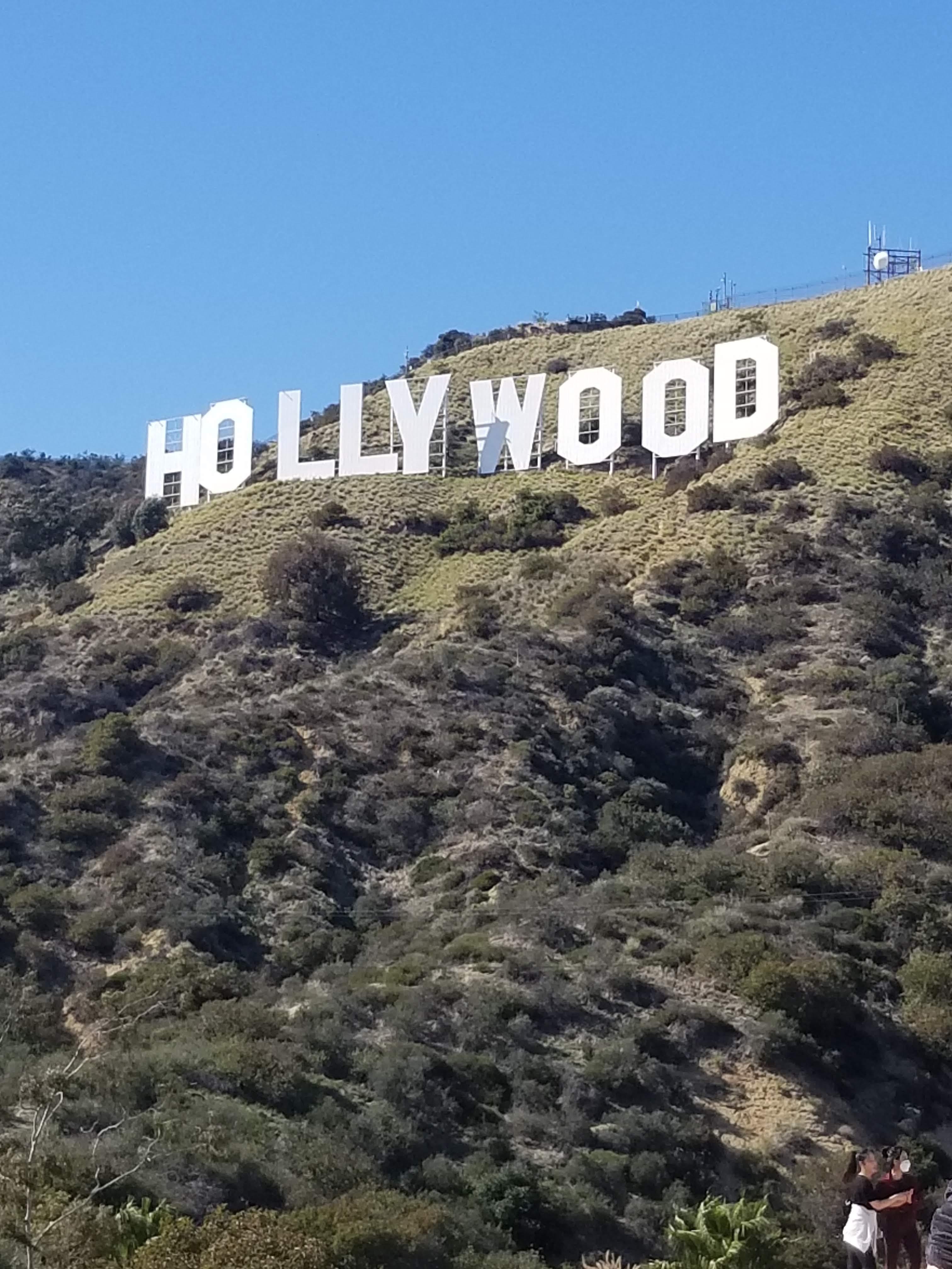 The Wedding Website of Lauren Falls and Andrew Levine