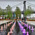 Domino Park Greenmarket