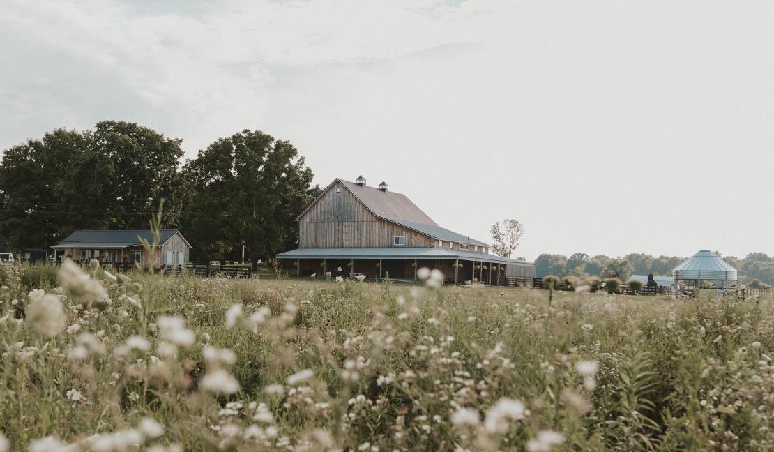 The Wedding Website of Hailey Sherer and Tanner Plaugher