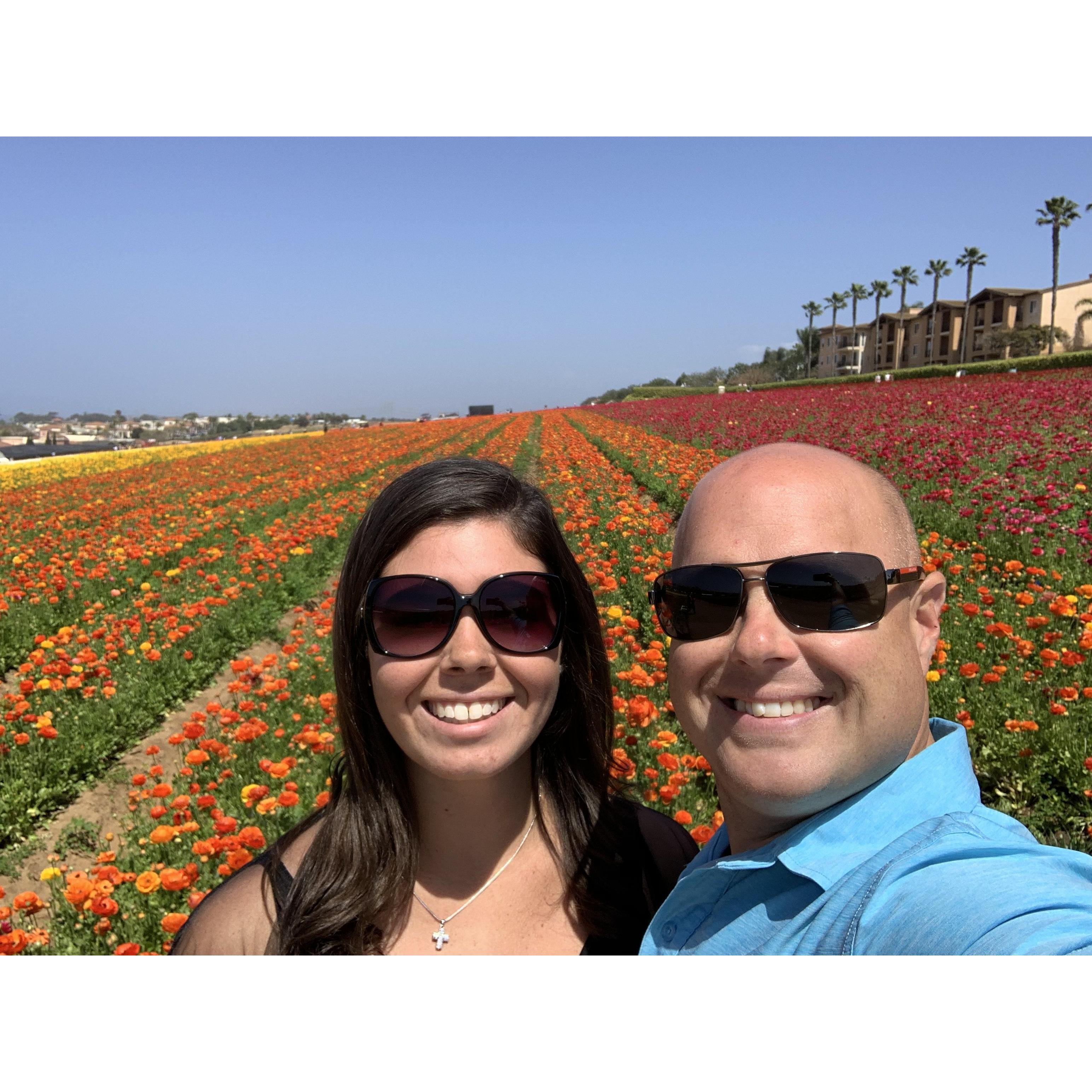 The Flower Fields | Carlsbad, California