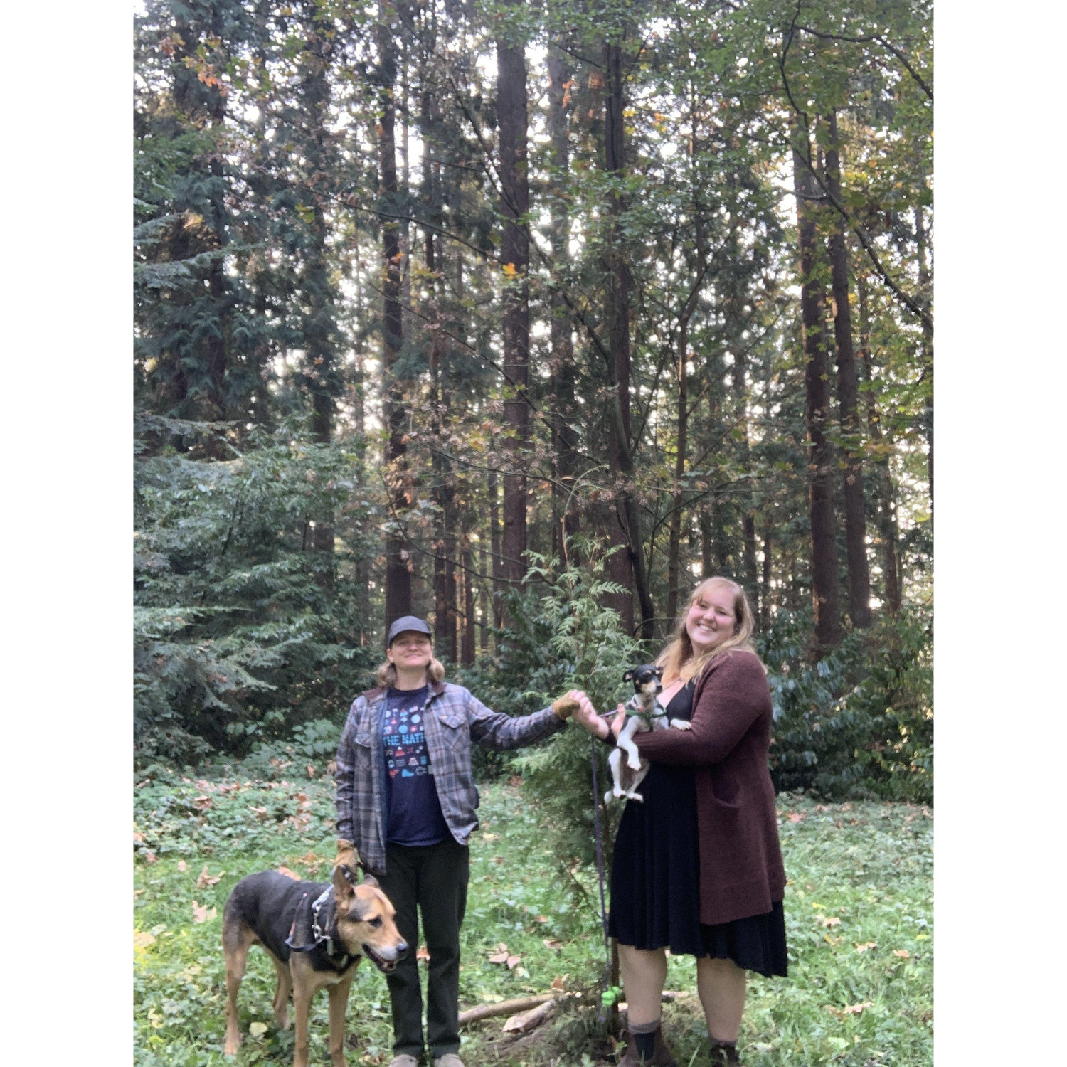 Planting our "Family Tree" in Hillcrest Park.