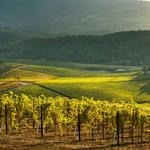 Napa Valley