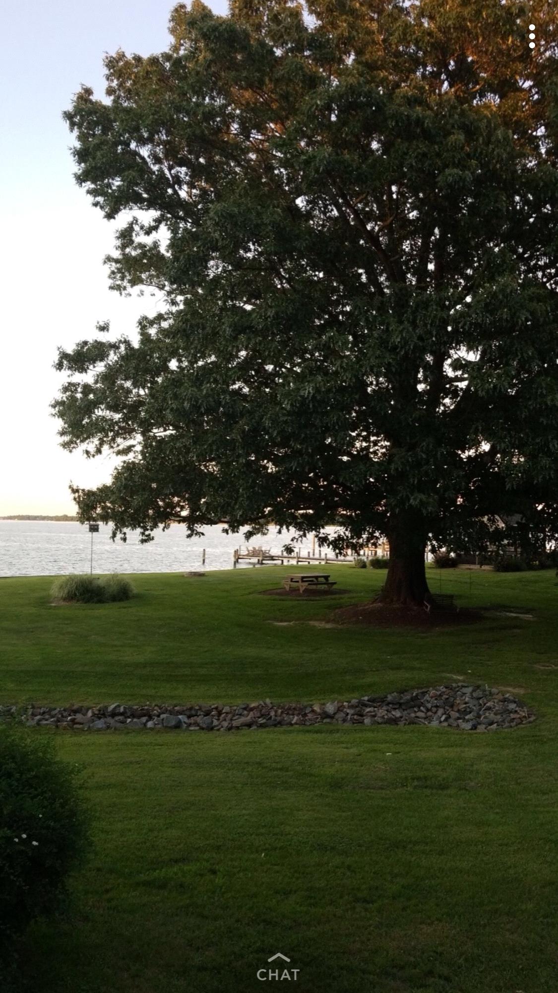 The Salty Oak. Father’s Day June 2018