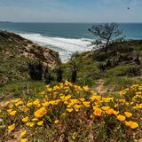 Torrey Pines State Natural Reserve