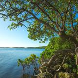 Homestead Bayfront Park