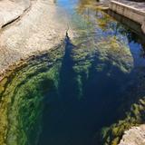 Jacob's Well Natural Area