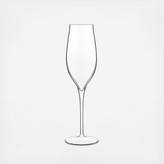 Vinea Prosecco/Champagne Glass, Set of 2