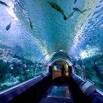 Discovery World – For the Science Lovers & Water Enthusiasts