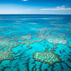 Help Send Us to the Great Barrier Reef! :)