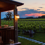 Macari Vineyards