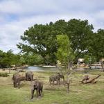 Sedgwick County Zoo