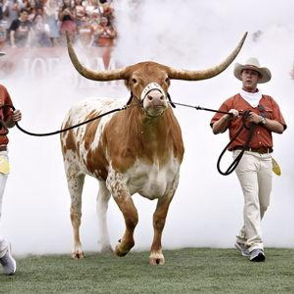 Texas Longhorn Tickets