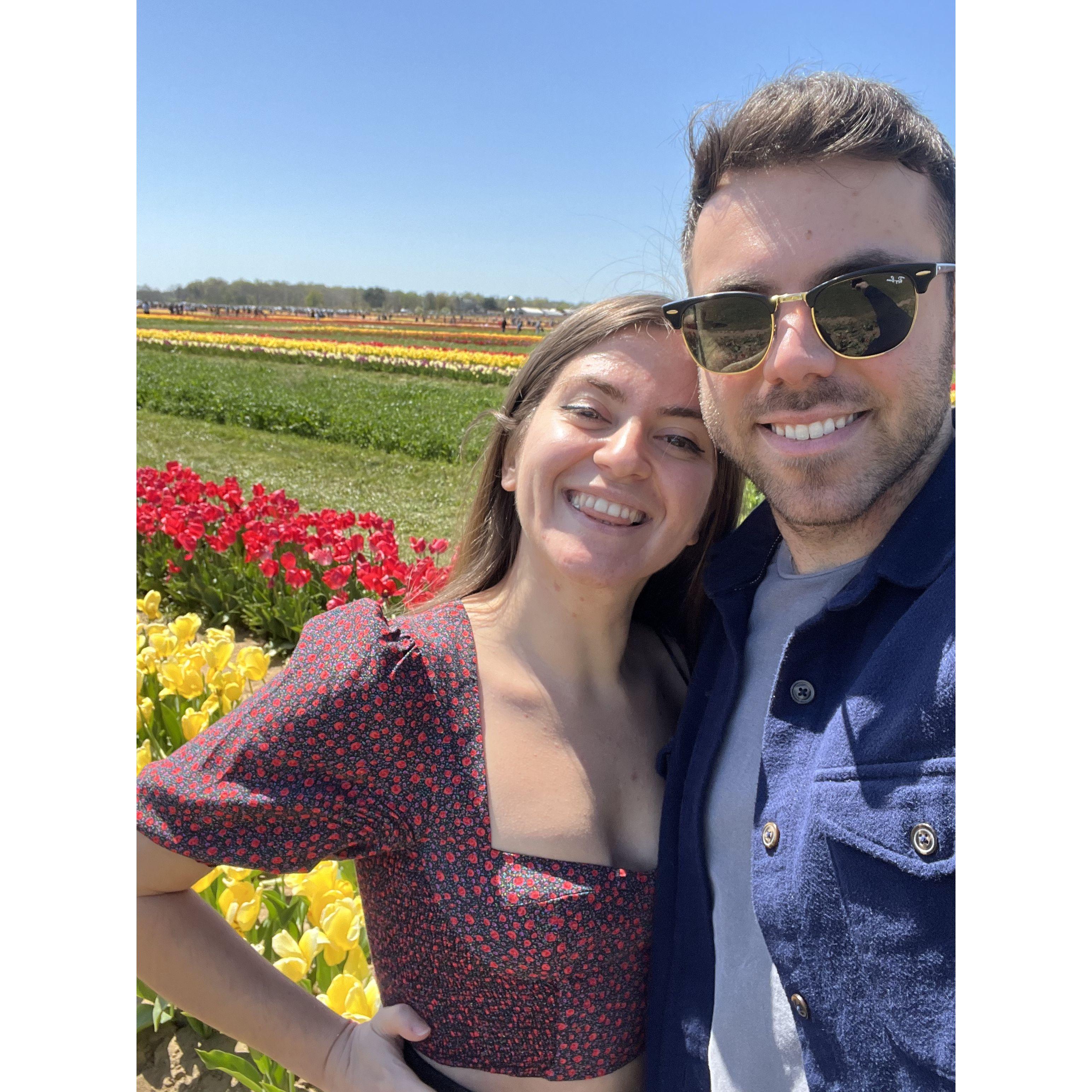 Tulip picking in NJ