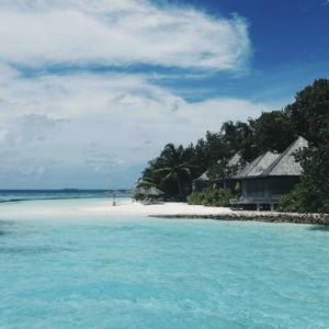 Honeymoon Fund