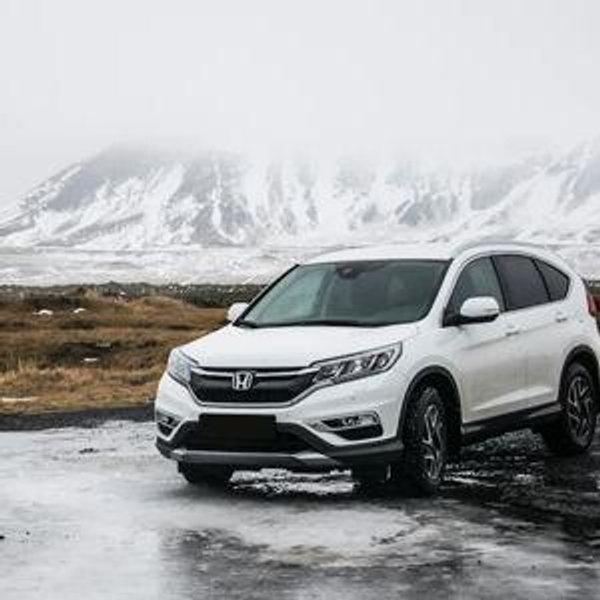 Car Rental