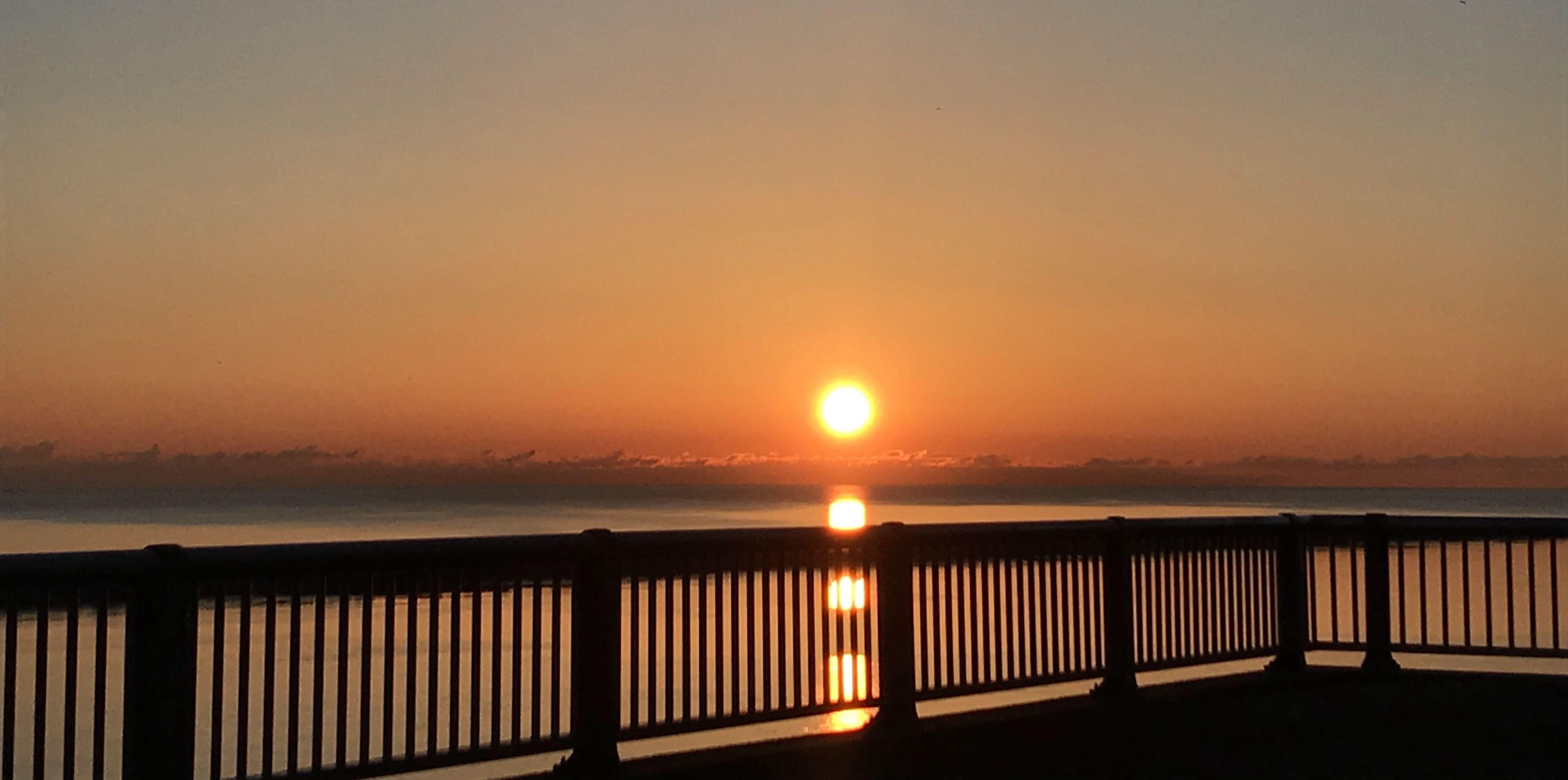 The Wedding Website of Domonique Baez and Angelo Baez