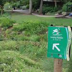 Swamp Rabbit Trail