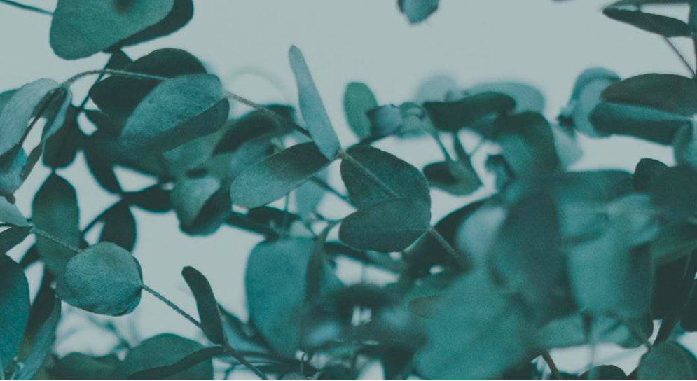 Footer image