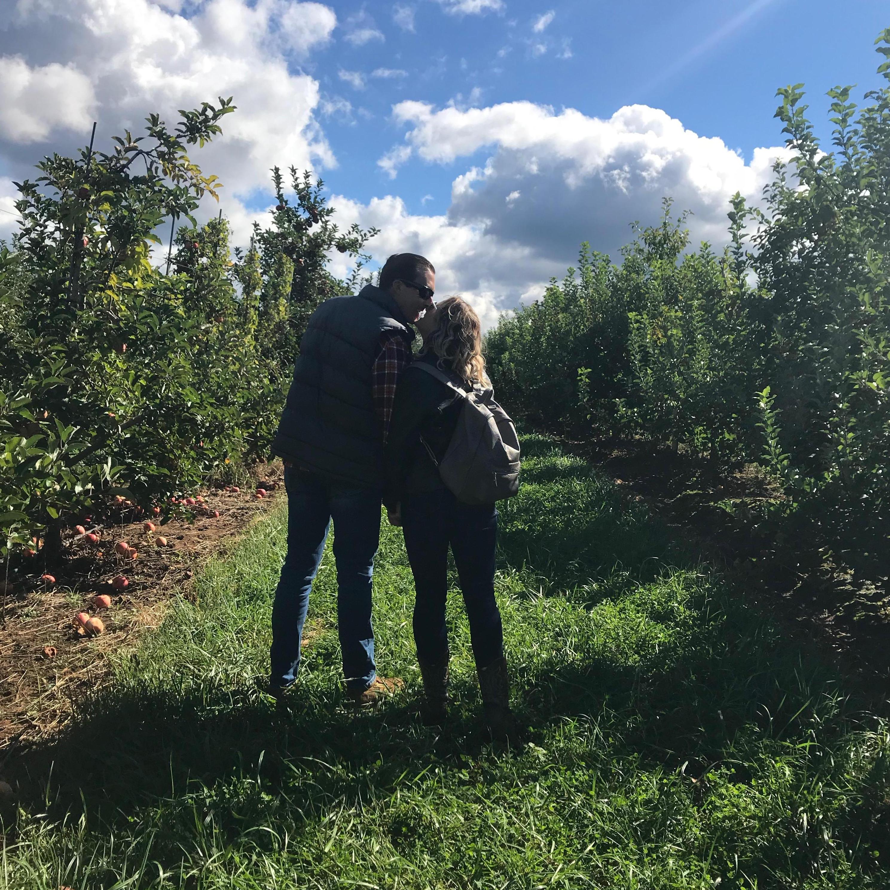 Autumn apple picking