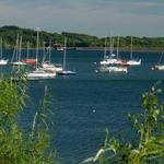 Carsington Water