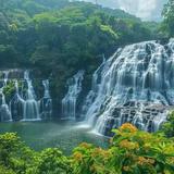 Wayanad