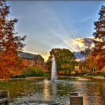 The Ohio State University