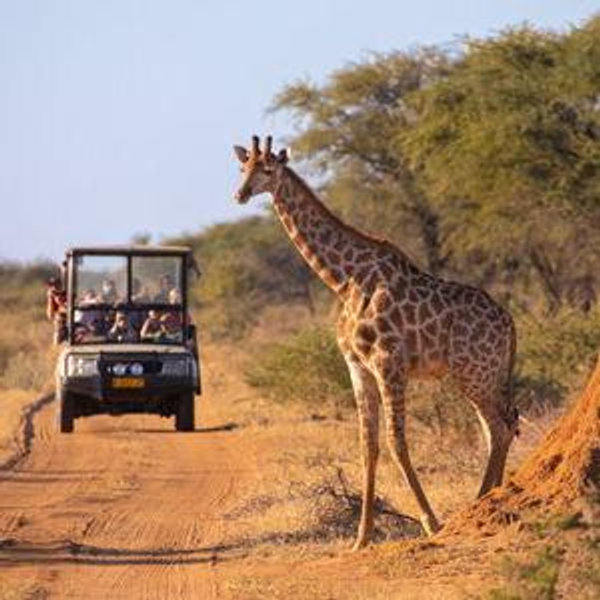African Honeymoon Fund