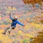Zipline Adventure