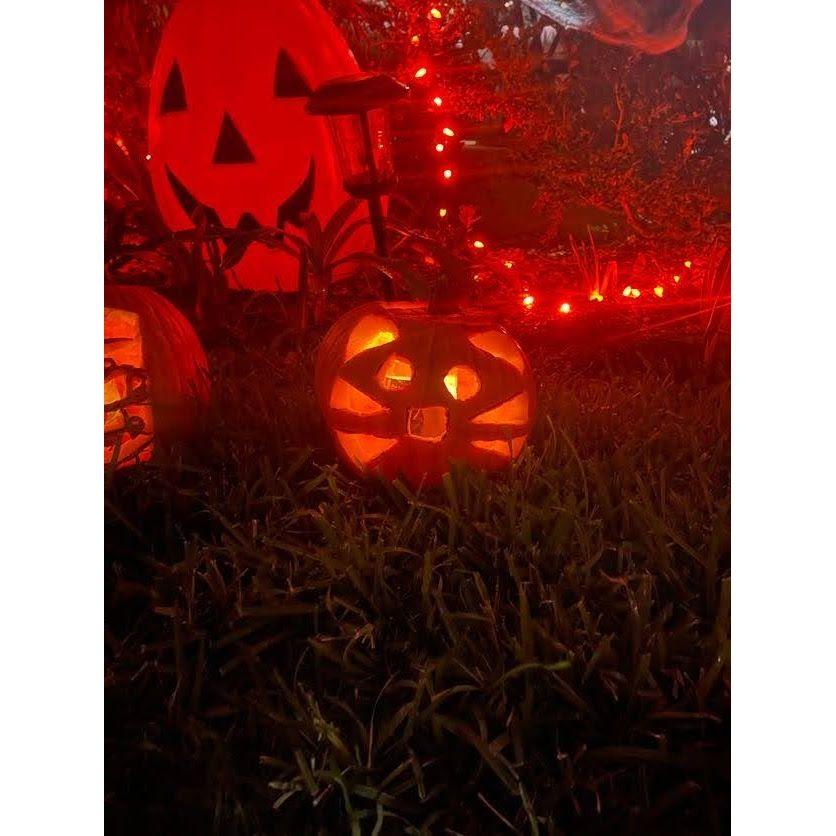 We carved this pumpkin for our second Halloween together.