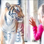 Knoxville Zoo