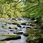 Ken Lockwood Gorge Wildlife Management Area