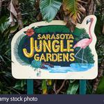 Sarasota Jungle Gardens