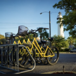 Island Bicycle