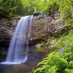 Cloudland Canyon State Park