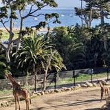 Santa Barbara Zoo