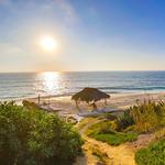 Windansea Beach