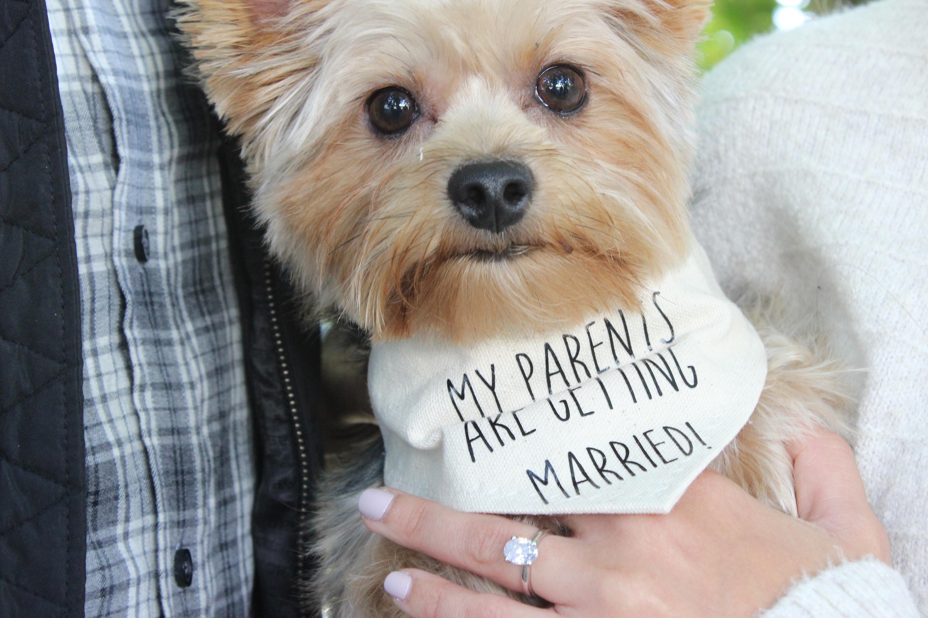 The Wedding Website of Alexa Aurite and Marco Santoro