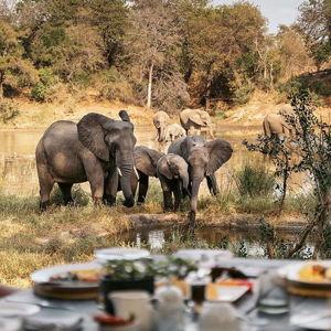 Honeymoon in South Africa