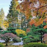 Portland Japanese Garden