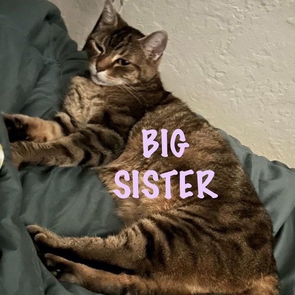 Help us start a family