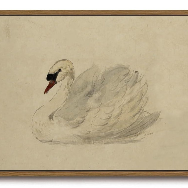 KISSFOX Framed Wall Art Vintage Wall Decor Swan Pictures Retro Animal Canvas Art Rustic Aesthetic Paintings Farmhouse Artwork For Bedroom Living Room Kitchen